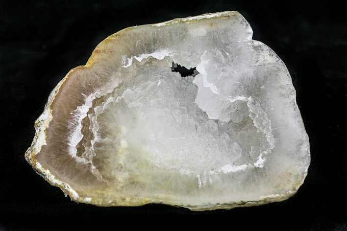 Agatized Fossil Coral Geode - Florida #22415